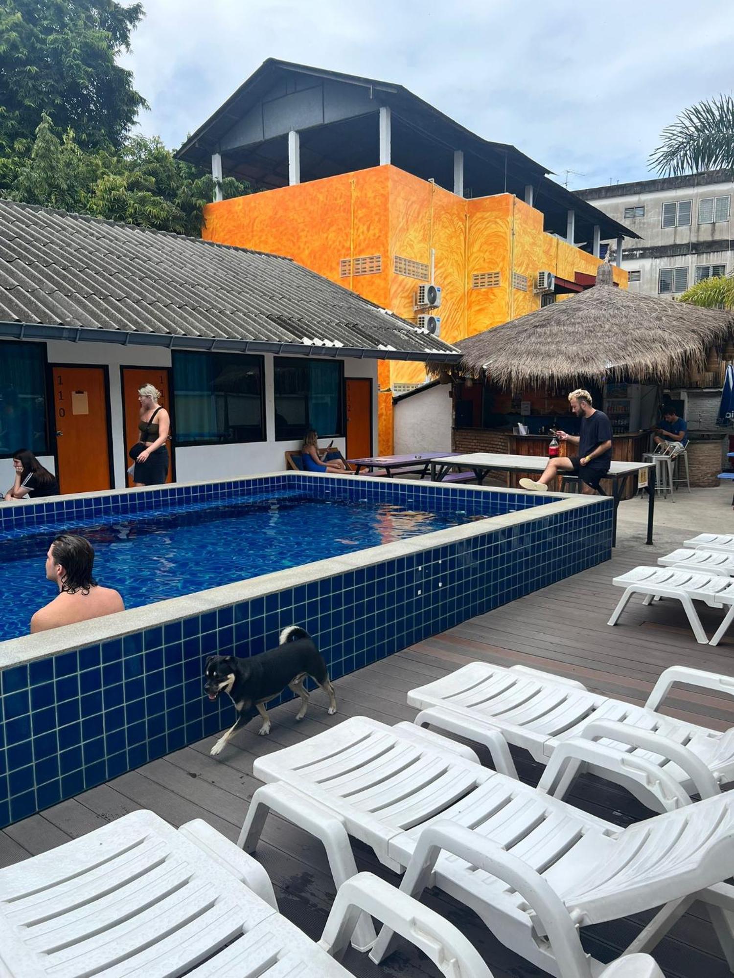 Albergue Revolution Chiang Mai - Old Town Exterior foto